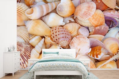 Behang - Fotobehang Schelpen - Strand - Zomer - Oranje - Breedte 420 cm x hoogte 280 cm