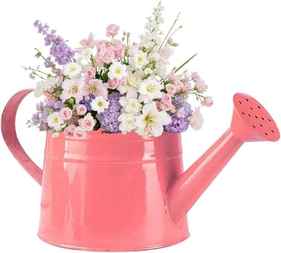 Metalen Gieter - Plantenbesproeier - Planten Water Geven - Verwijderbare Lange Tuit - 1 Gallon Capaciteit - Roze