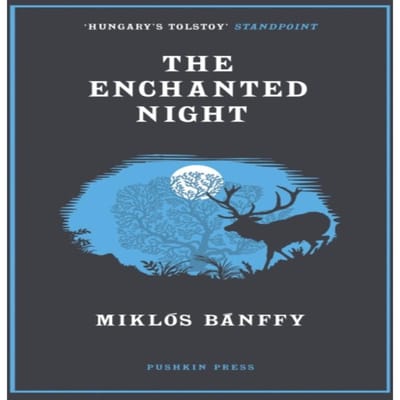 De Betoverde Nacht door Miklos Banffy Paperback Boek 9781782275923