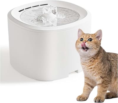 Drinkfontein voor kat, veilige kattendrinkfontein met filterspons, huisdierfontein, 3 niveaus instelbaar, USB-stekker - wit