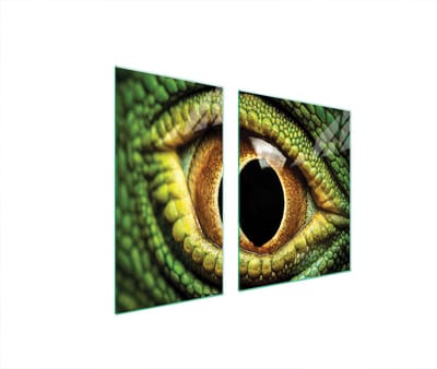 TMK ArtDeko Serie - Glazen Beschermplaat - 90x52 cm - Oog Ontwerp - Hittebestendig