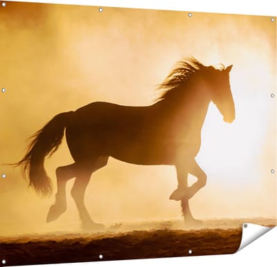 Gards Tuinposter Silhouet van een Paard - 150x120 cm - Tuindoek - Tuindecoratie - Wanddecoratie buiten - Tuinschilderij