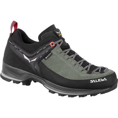 Wandel schoenen dames Salewa Mtn Trainer 2 Gtx