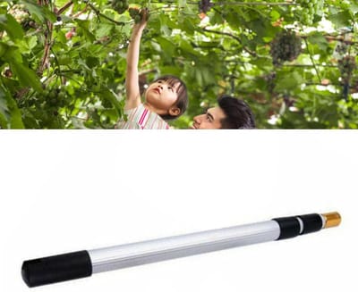 Fruitplukker Stok - Telescoopsteel Fruit - Fruit Oogsten - Verstelbare Lengte - 48 cm - Zilver