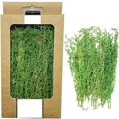 Miniatuur Struiken voor Modelspoor en Diorama's - Lange Groen Vegetatiegroepen