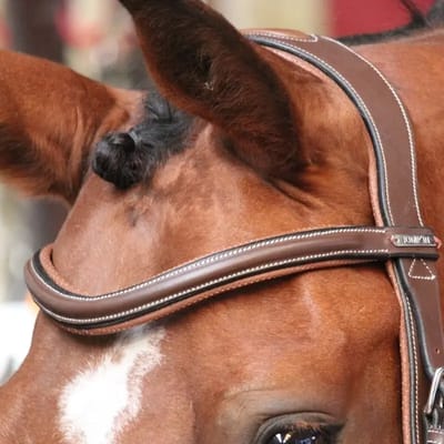 Frontaal voor paard Jump'In New York