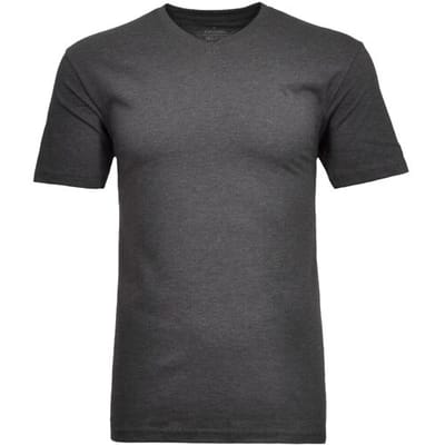 Ragman T-Shirt Uni V-Neck Single Jersey Antraciet / male