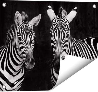 Gards Tuinposter Twee Zebra's - Zwart Wit - 50x40 cm - Tuindoek - Tuindecoratie - Wanddecoratie buiten - Tuinschilderij