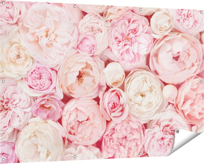 Gards Tuinposter Witte Roze Rozen Boeket - Bloemen - 150x100 cm - Tuindoek - Tuindecoratie - Wanddecoratie buiten - Tuinschilderij