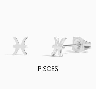 Maevi® Sterrenbeeld Oorbellen - Vissen/Pisces - Kleur: Zilver - RVS / Roestvrijstaal / Stainless Steel - Luxe Oorbellen - Hoge Kwaliteit - Verkleurt niet - Oorknopjes / Oorhanger - Incl. Luxe Cadeauverpakking - Zilveren Oorbellen