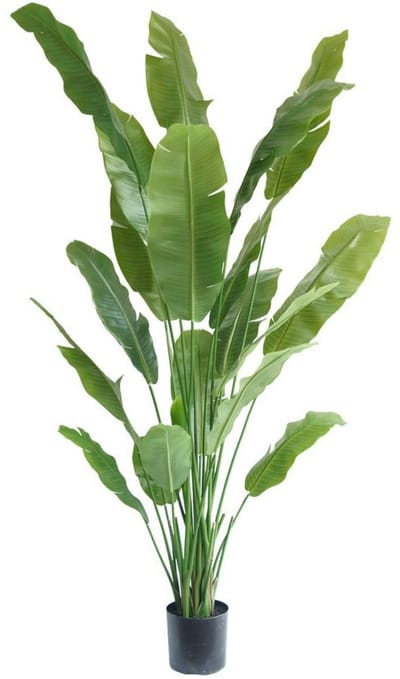 Strelitzia Kunstplant 210cm