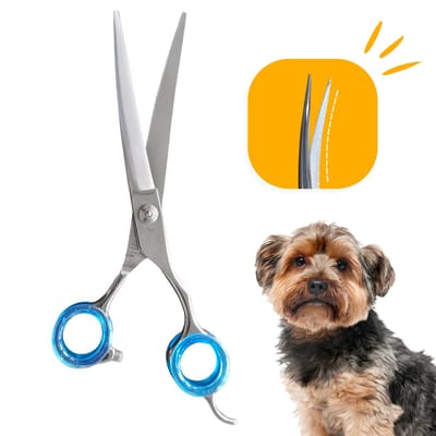 Professor Q Professionele Hondenschaar – Lichtblauw, 7.5 Inch (19.5 cm) – Ideaal voor Langharige Honden - Up Gebogen Schaar
