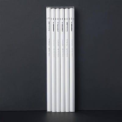 Zwart & Wit Houtskoolpotlood Set - Uitwisbaar, Medium Punt voor Precisie Schetsen & Tekenen, Hout Materiaal, Ideaal voor Kunstenaars en Illustratoren white