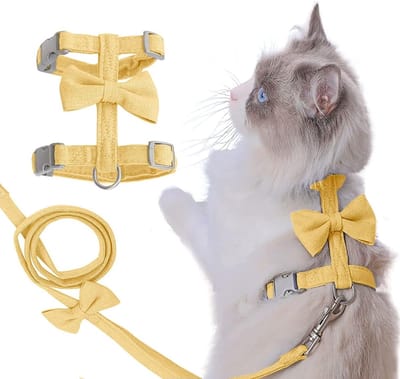Kattenharnas en Riem - Huisdier Tuigje - Veilig Wandelen - Ontsnappingsbestendig Ontwerp - Maat M - Geel