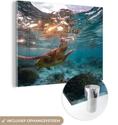 MuchoWow® Glasschilderij 160x120 cm - Schilderij acrylglas - Zee - Schildpad - Kleuren - Foto op glas - Muurdecoratie woonkamer - Wanddecoratie slaapkamer - Schilderijen