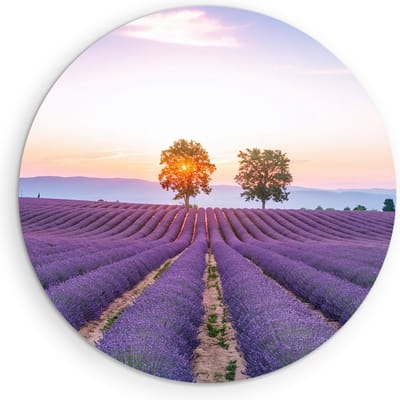 Saammp Muurcirkel Hout - Lavendelveld met de zon tussen de bomen - Natuur - Landschap - Ø 90 - Wandcirkel - Wanddecoratie Cirkel - Muurdecoratie Woonkamer - Slaapkamer decoratie - Rond Schilderij