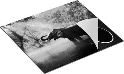 Chefcare Inductie Beschermer Olifant in het Water - Zwart Wit - 60x50 cm - Afdekplaat Inductie - Kookplaat Beschermer - Inductie Mat