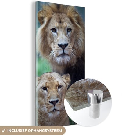 MuchoWow® Glasschilderij 20x40 cm - Schilderij acrylglas - Portret - Leeuw - Leeuwin - Foto op glas - Schilderijen