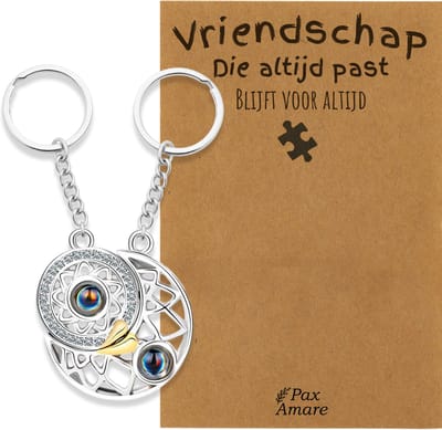 BFF Sleutelhanger voor 2 'Vriendschap die altijd past' - Rondjes ILY IN 100 TALEN - Sleutelhanger set op Cadeau Kaartje - Zilverkleurig - Vriendschap Symbool - Pax Amare