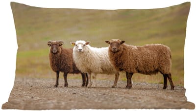 Sierkussens - Kussentjes Woonkamer - 60x40 cm - Schapen - Bruin - Wit - Grindpad