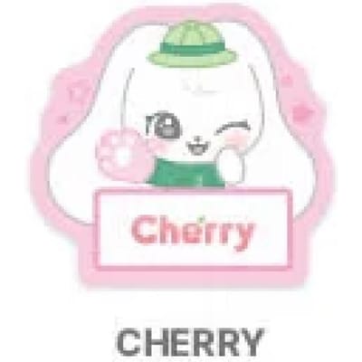 IVE COLLAB met EVERLAND - [ForEVER IVE] OFFICIEEL MD MINIVE NAAMPLAATJE JANGWONYOUNG