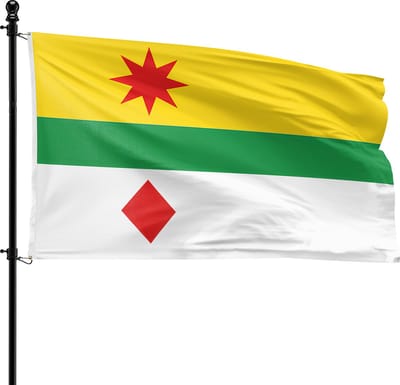 VlagDirect - Lansingerland vlag - Gemeente Lansingerland vlag - 90 x 150 cm.