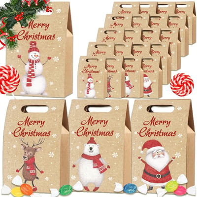 24 stuks Kerst Cadeauzakjes – Papieren Snoepzakjes voor Kinderen – Geschenken, Koekjes & Snoepjes