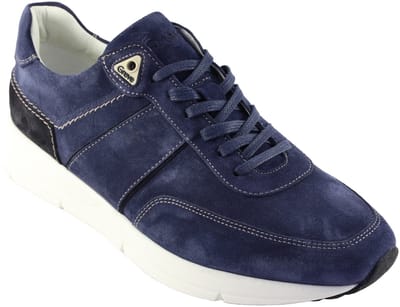 Greve Walker 7286.06-2941 Pilota
