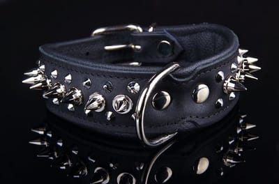 Dog's Companion Leren Halsband - met Spikes - Lengte: 50cm Verstelbaar van: 40-47 cm x 40 mm - Zwart