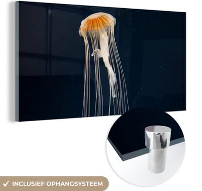 MuchoWow® Glasschilderij 40x20 cm - Schilderij acrylglas - Kwal - Zeedier - Tentakels - Foto op glas - Schilderijen