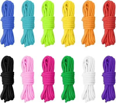 Set van 12 Paracord 550 Nylon Touwen van 4 mm in 12 Kleuren voor DIY Armbanden, Sleutelhangers, Hondenlijnen en Survival Gear