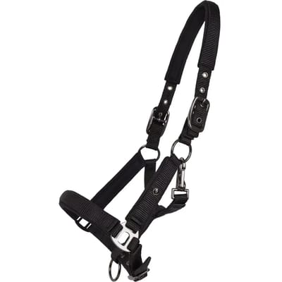 Halster voor paarden QHP Deluxe