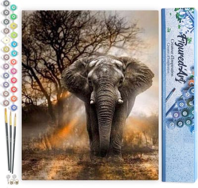 Figured'Art Schilderen op Nummer Volwassenen canvas Eenzame Olifant - Handwerk acrylverf Kit DIY Compleet - 40x50cm zonder frame