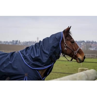 Paardendeken Equithème Classic 0 g