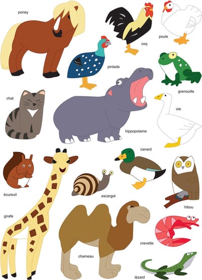 Stickers - Wilde Dieren & Boerderij Dieren & Vogels & Reptielen - Scrapbook Hobby DIY - 2 Stickervellen - 2.8-10cm - 32 Stuks