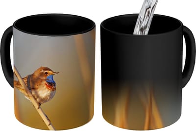 Magische Mok - Foto op Warmte Mokken - Koffiemok - Vogels - Blauwborst - Riet - Magic Mok - Beker - 350 ML - Theemok