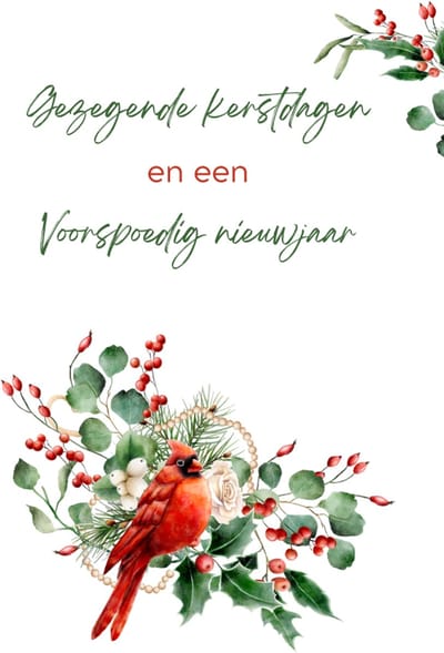Kerstkaart – Gezegende kerstdagen en een voorspoedig nieuwjaar – Enkele wenskaart met aquarel bloemstuk en rode kardinaalvogel – Origineel ontwerp – Stevig 400 grams papier – Inclusief kraft envelop – FSC
