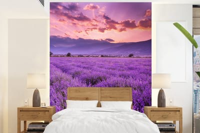 Behang - Fotobehang Lavendel - Paars - Bloemen - Veld - Breedte 175 cm x hoogte 240 cm
