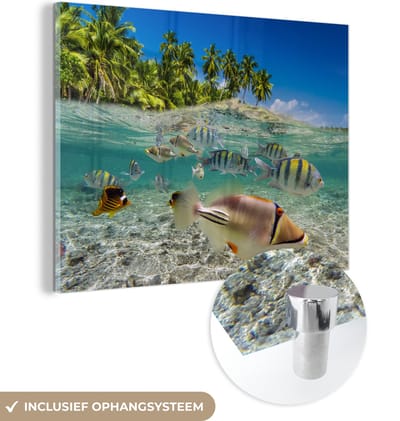 MuchoWow® Glasschilderij 160x120 cm - Schilderij acrylglas - Strand - Vissen - Tropisch - Foto op glas - Muurdecoratie woonkamer - Wanddecoratie slaapkamer - Schilderijen