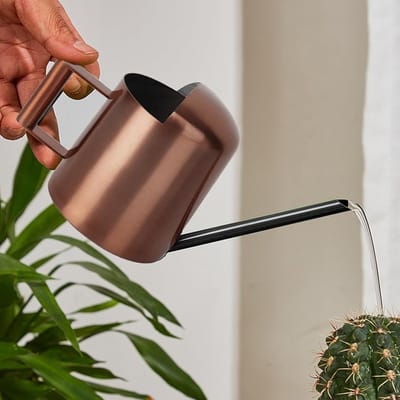 Mini gieter voor kamerplanten - Roestvrij staal, lange uitloop - Perfect voor kleine planten en vetplanten