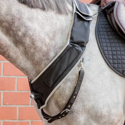 Jachthalsband voor paarden Kavalkade Horselight