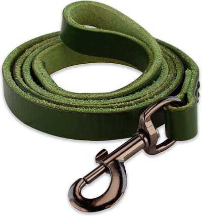 Leren hondenriem - 140cm - groen met zwarte riem - hondenriem met stiksels - 100% volnerfleer - hond - leiband hond - lederen hondenriem - stevige hondenriem - hondenleiband - hondenlijn leer