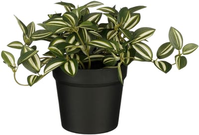 Kunstplant mica tradescantia in pot groen | 6 stuks