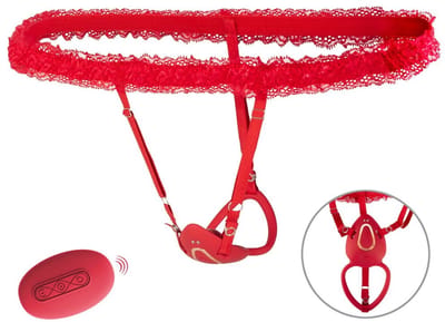Clitoris Oplegset - Clitorisvibrator met afstandsbediening