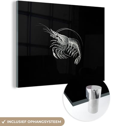 MuchoWow® Glasschilderij 40x30 cm - Schilderij acrylglas - Garnalen - Vintage - Ernst Haeckel - Dieren - Kunst - Foto op glas - Schilderijen