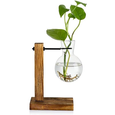 Transparante vaas, bureau, houten standaard, glazen, heldere plantenvaas voor thuis, tafel, bureau, interieurdecoratie green