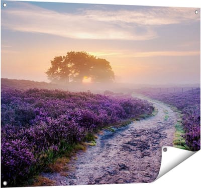 Gards Tuinposter Pad in de Weide van de Veluwe - 100x80 cm - Tuindoek - Tuindecoratie - Wanddecoratie buiten - Tuinschilderij
