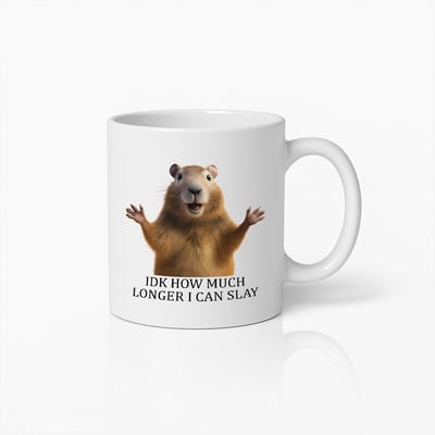 330ml Grappige Dierenmok met Motivatie Quote – "IDK How Much Longer I Can Slay" Koffiekopje