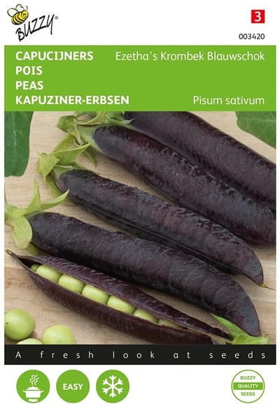 Capucijner Ezethas Blauwschok