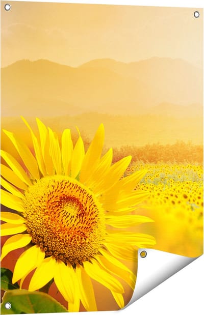 Gards Tuinposter Zonnebloemen Veld met Zonopkomst - 60x80 cm - Tuindoek - Tuindecoratie - Wanddecoratie buiten - Tuinschilderij